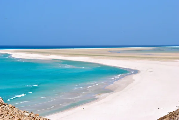 Socotra eiland — Stockfoto