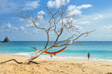Seychelles adaları