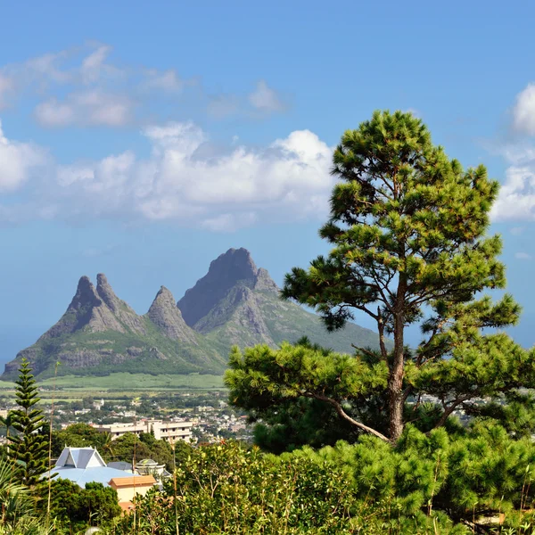 Mauritius Sziget — Stock Fotó