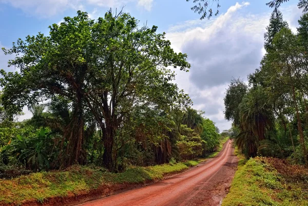 Uganda — Foto de Stock