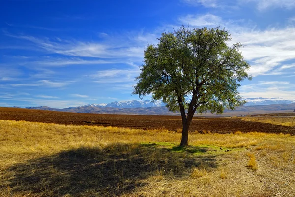 Anatolische Landschaft — Stockfoto