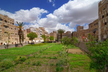Sanaa