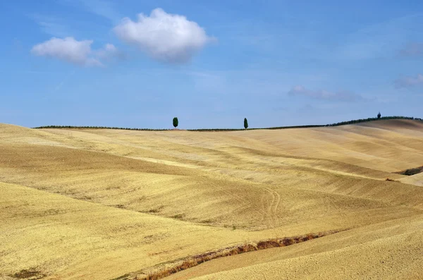 Toscaans landschap — Stockfoto