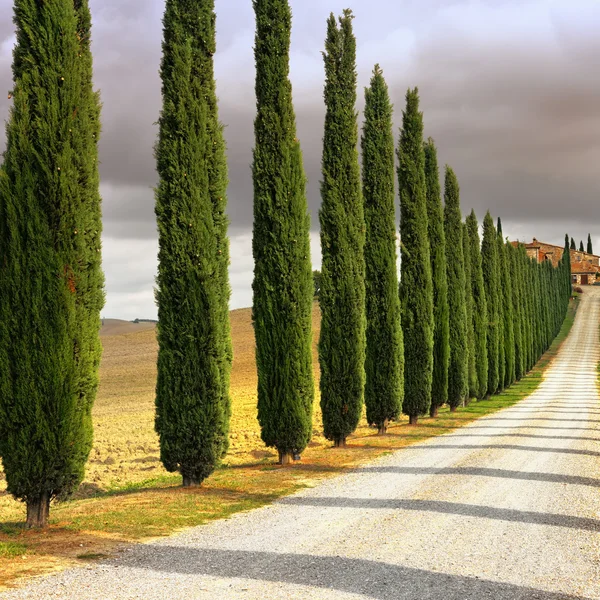 Paisaje idílico toscano —  Fotos de Stock