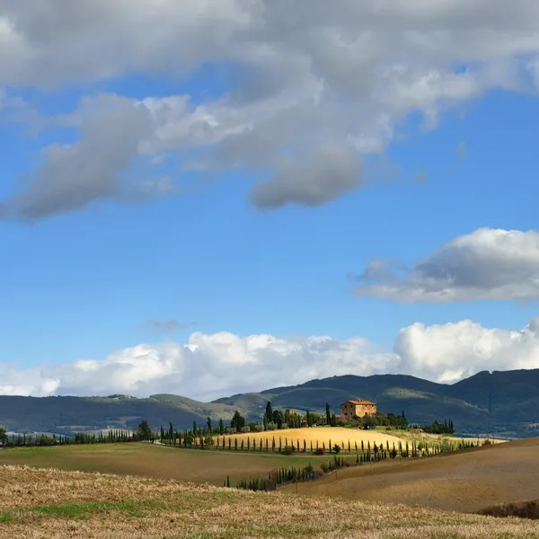 Paisaje toscano — Foto de Stock