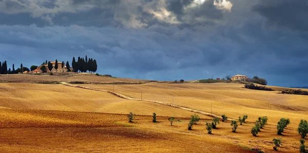 Paysage rural idyllique toscan — Photo