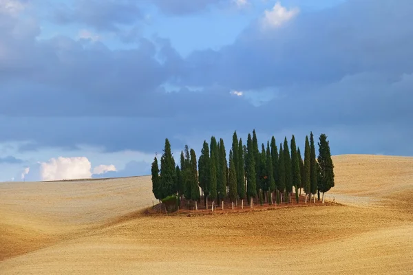 Paisagem Idílica da Toscana — Fotografia de Stock