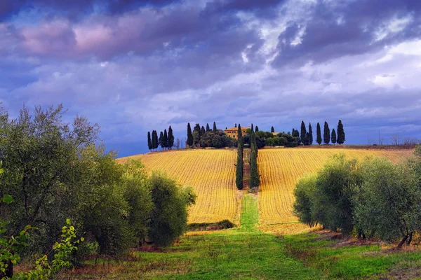 Idyllisch landelijk Toscaans landschap — Stockfoto