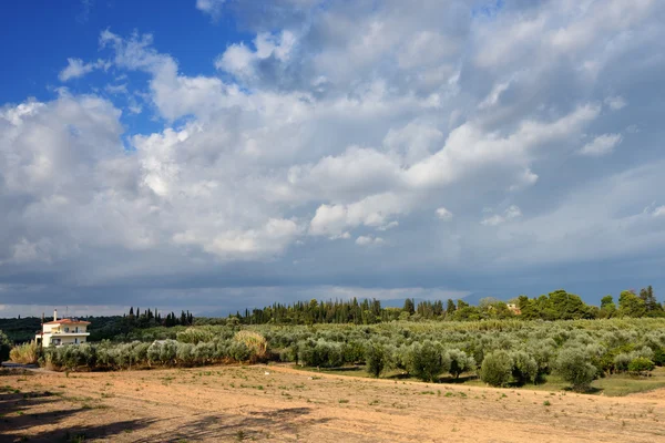 Grécia, paisagem rural — Fotografia de Stock