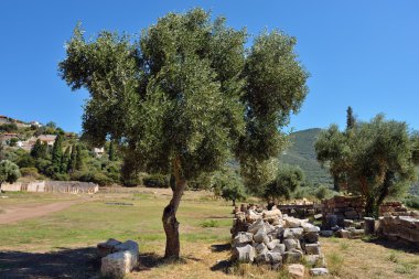 Antik messini
