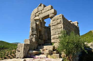 Arkadyalı duvar