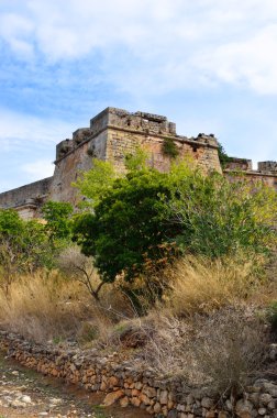 Navarin Deniz Savaşı, neokastro