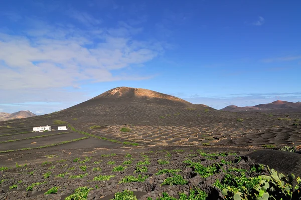 Lanzarote — Foto Stock