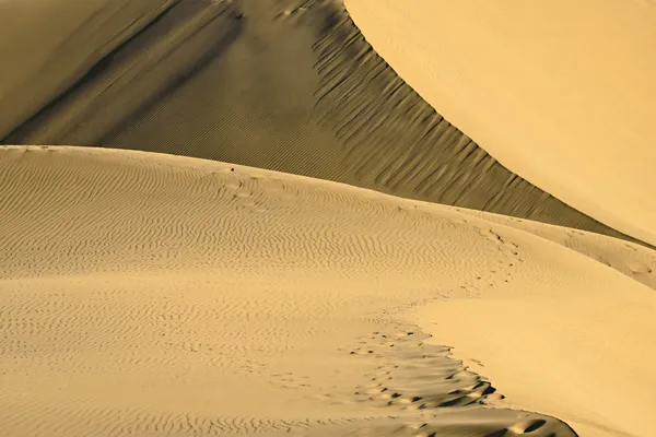 Wydmy Maspalomas — Zdjęcie stockowe