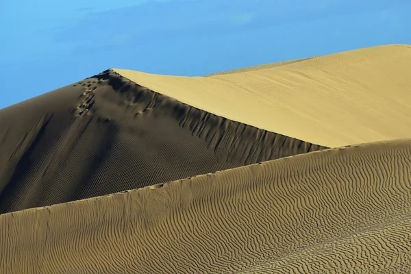 Duny maspalomas — Stock fotografie