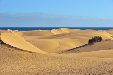 Dune Maspalomas clipart