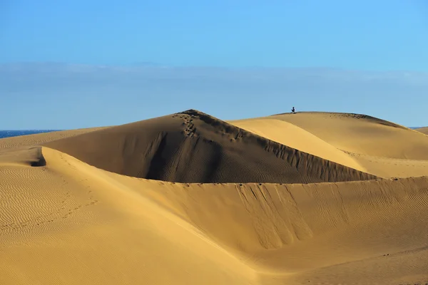 マスパロマス砂丘 — ストック写真