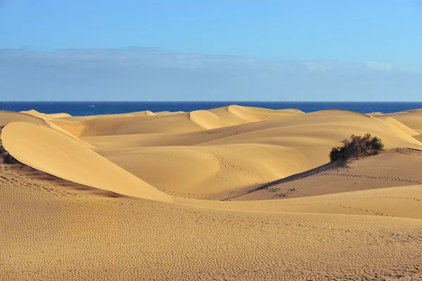マスパロマス砂丘 — ストック写真