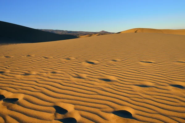 Dünenmaspalomas — Stockfoto