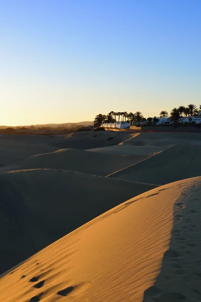 Maspalomes des dunes — Photo