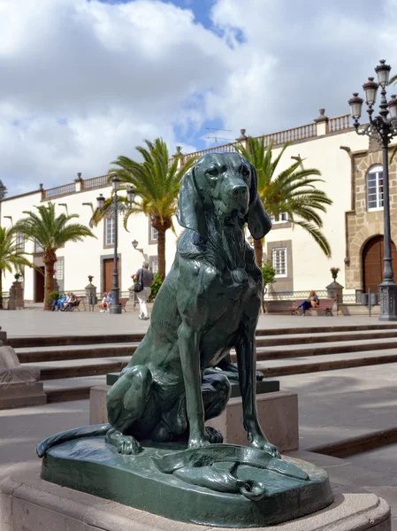 Dog symbol of Canary Islands — Stock Photo, Image