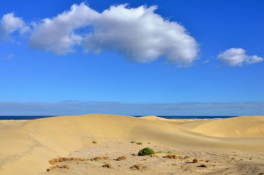 Dune Maspalomas