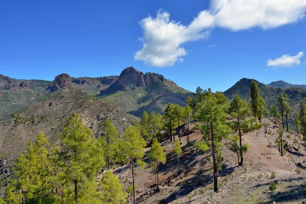 Gran Canaria landscape — Stock Photo, Image