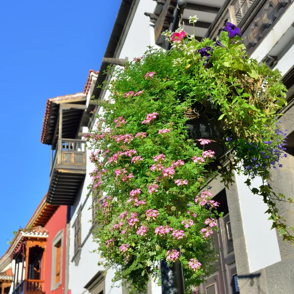 Teror, Gran Canaria — Fotografia de Stock