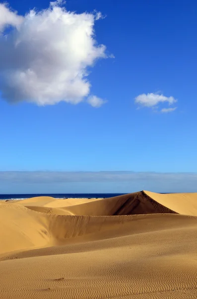 Wydmy Maspalomas — Zdjęcie stockowe