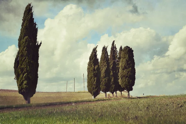 Idyllisch landelijk Toscaans landschap — Stockfoto