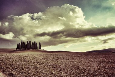 Toskana manzara Pienza, Vall d'Orcia İtalya