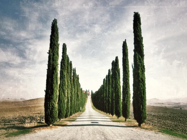 Peisaj rural toscan — Fotografie, imagine de stoc