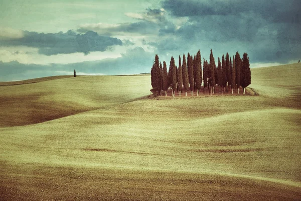 Tuscan rural landscape — Stock Photo, Image