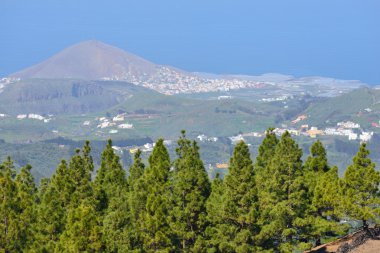 gran canaria manzara