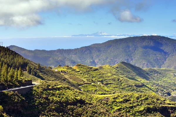 Grand Canaria Landschaft — Stockfoto