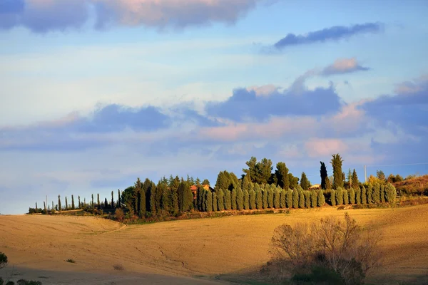 Paisagem rural toscana — Fotografia de Stock