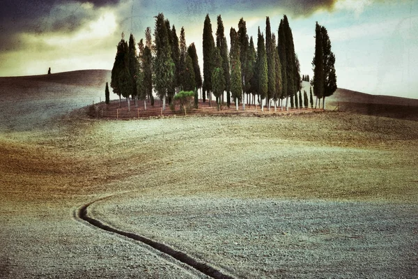 Tuscan rural landscape — Stock Photo, Image