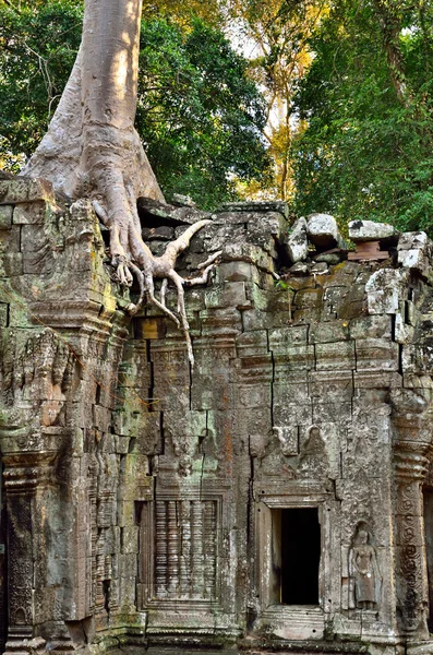 Angkor Wat, Camboya — Foto de Stock