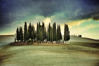 Tuscan kırsal manzara