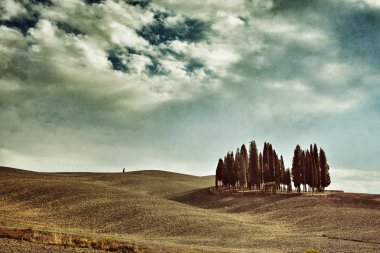 Tuscan kırsal manzara