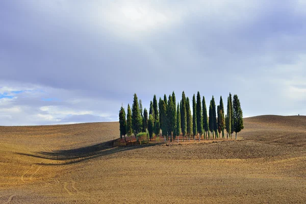 Tuscan rural landscape — Stock Photo, Image