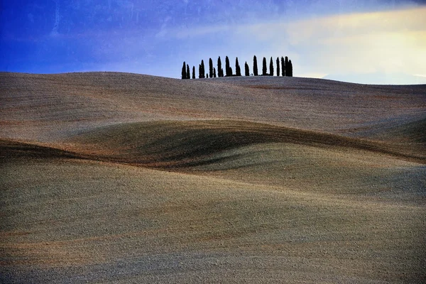 Tuscan rural landscape — Stock Photo, Image