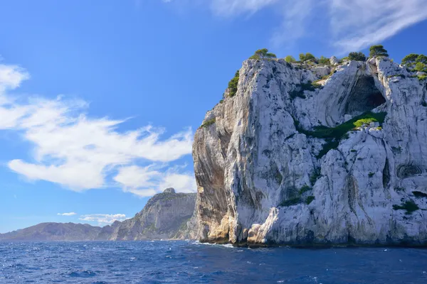 Cassis — Fotografia de Stock