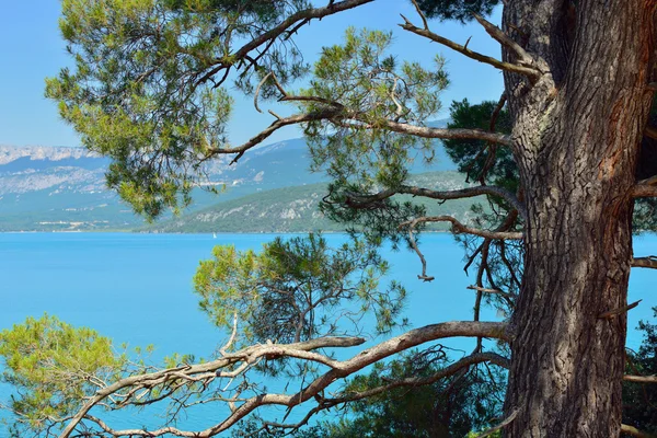 Verdon — Stockfoto