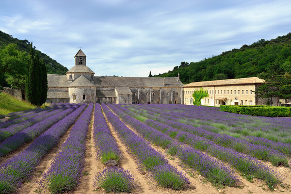 Аббатство Сенанк
