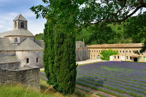 Abbaye de Senanque — Photo