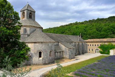senanque Manastırı