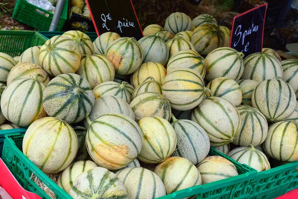 Provence. melon — Stockfoto