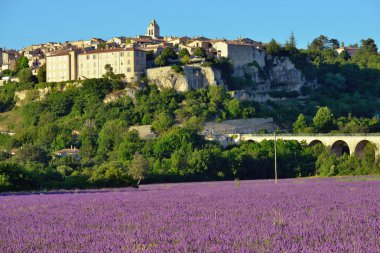 Provence rural landscape