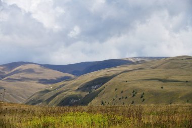 Rusya, Çeçenistan 'daki Kafkasya alp çayırı ve dağ manzarası. Çeçen Cumhuriyeti 'nin Vedeno ilçesi